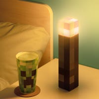 Minecraft Torch Light(83116)